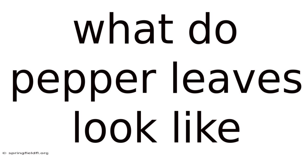 What Do Pepper Leaves Look Like