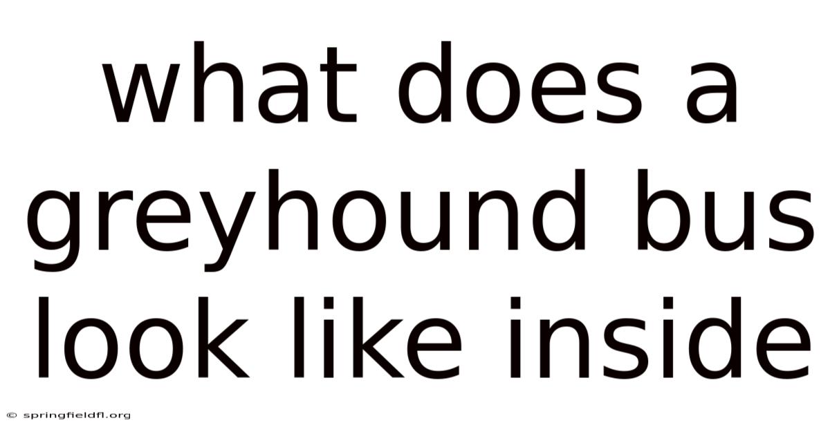 What Does A Greyhound Bus Look Like Inside