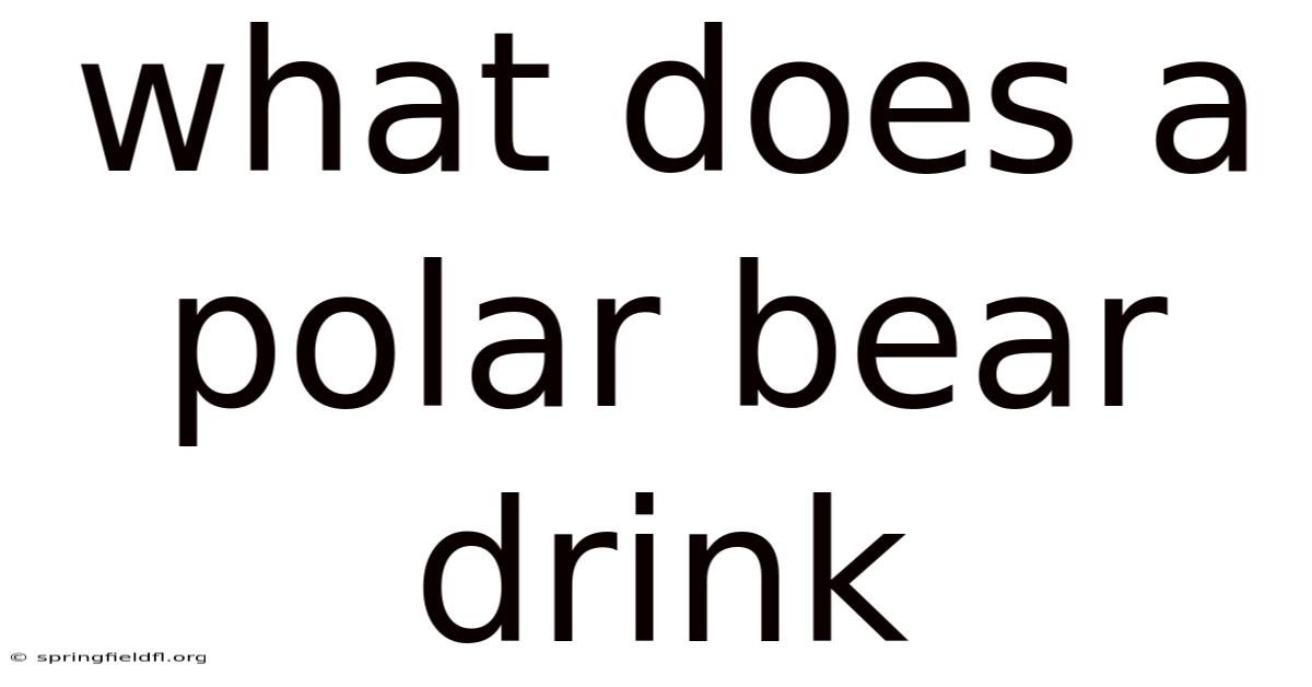 What Does A Polar Bear Drink