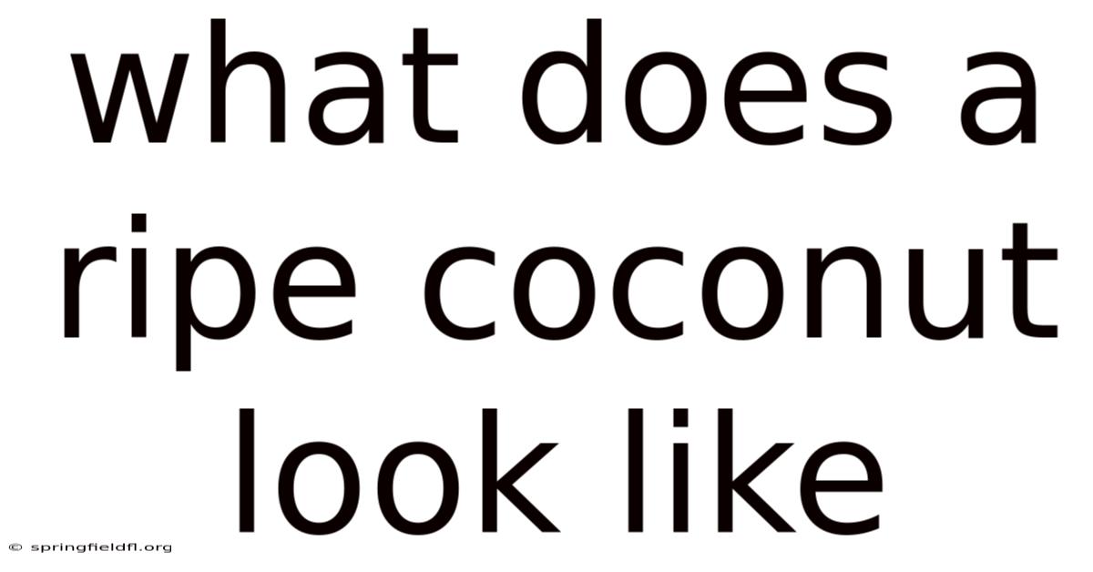 What Does A Ripe Coconut Look Like