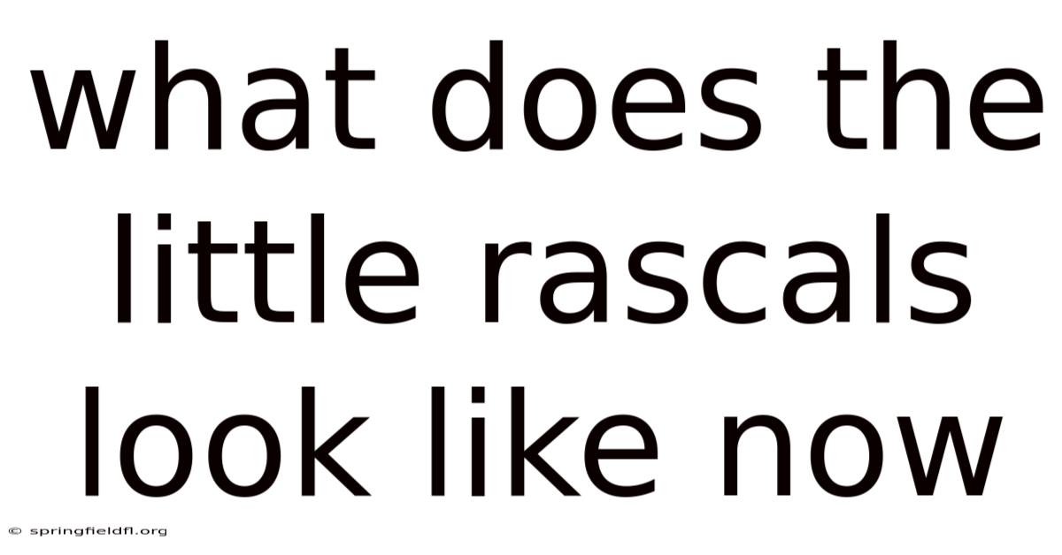What Does The Little Rascals Look Like Now