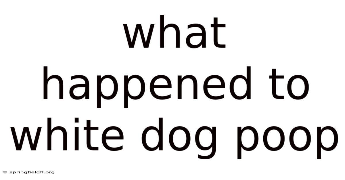 What Happened To White Dog Poop