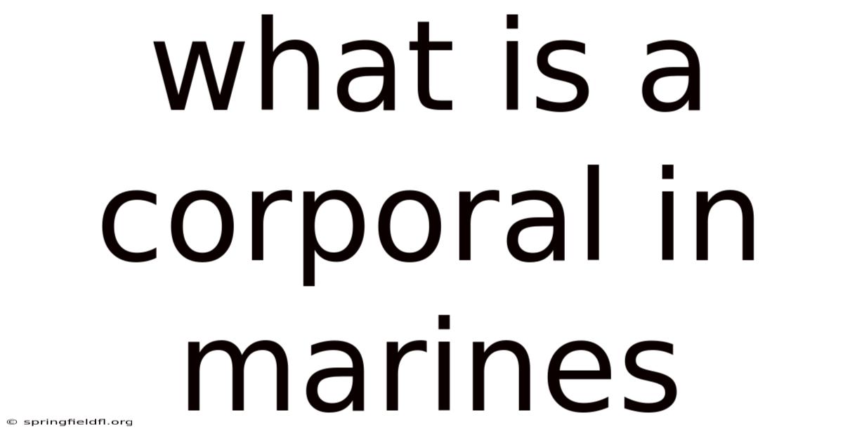 What Is A Corporal In Marines
