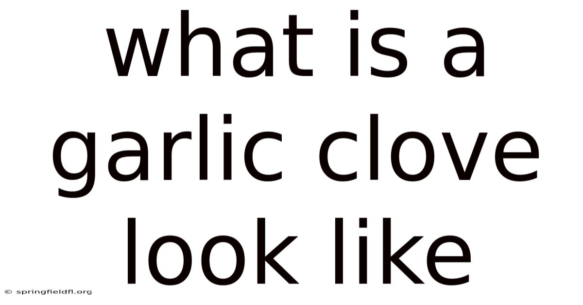 What Is A Garlic Clove Look Like