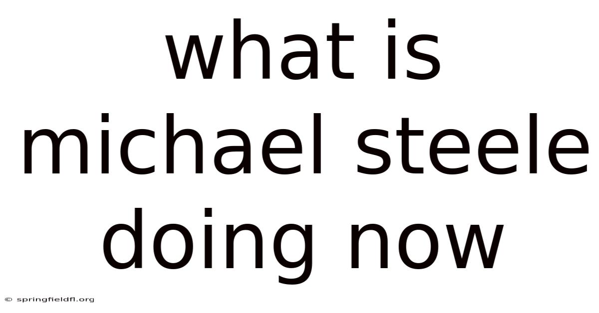 What Is Michael Steele Doing Now