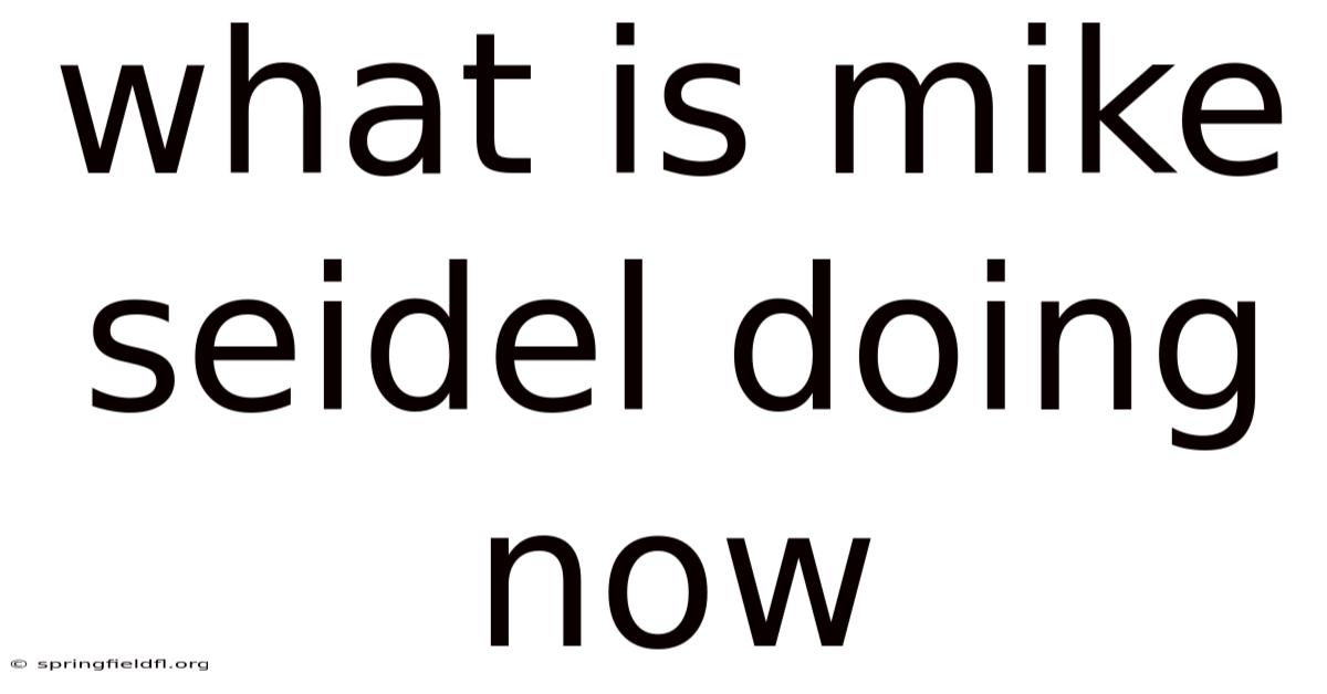 What Is Mike Seidel Doing Now