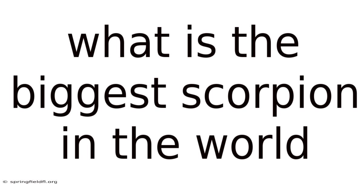 What Is The Biggest Scorpion In The World