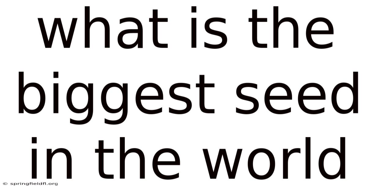 What Is The Biggest Seed In The World