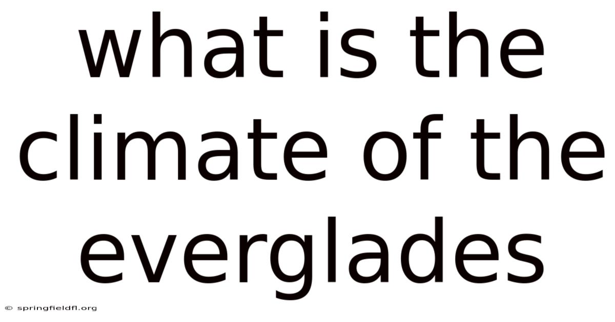 What Is The Climate Of The Everglades