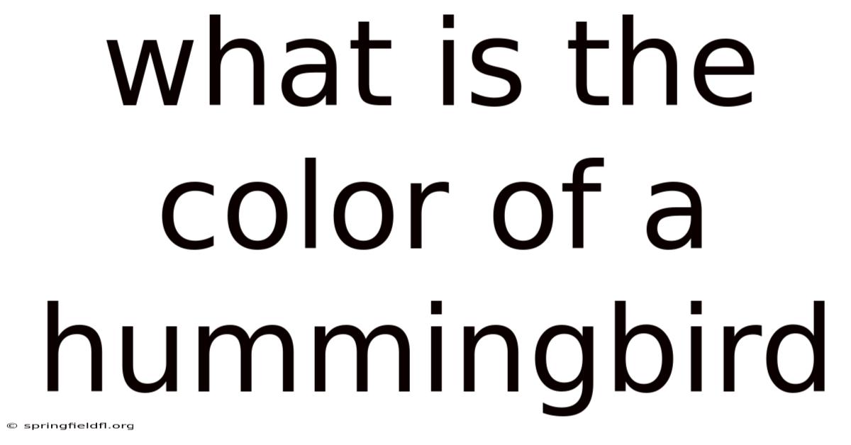 What Is The Color Of A Hummingbird