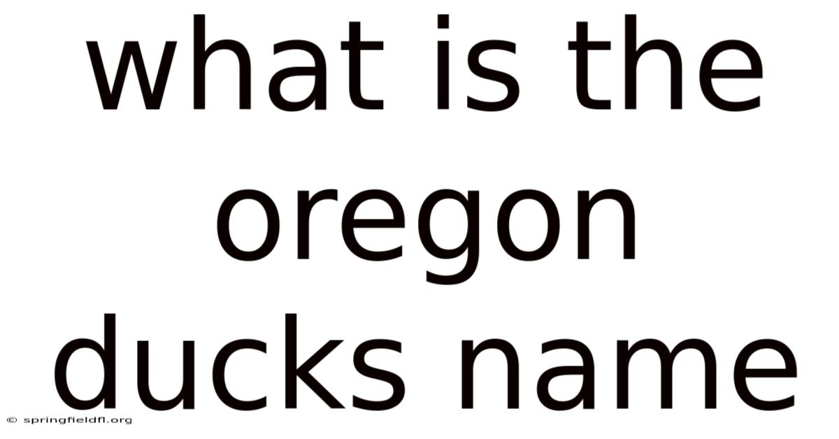 What Is The Oregon Ducks Name