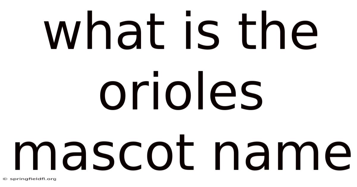 What Is The Orioles Mascot Name