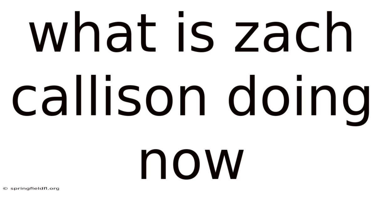 What Is Zach Callison Doing Now