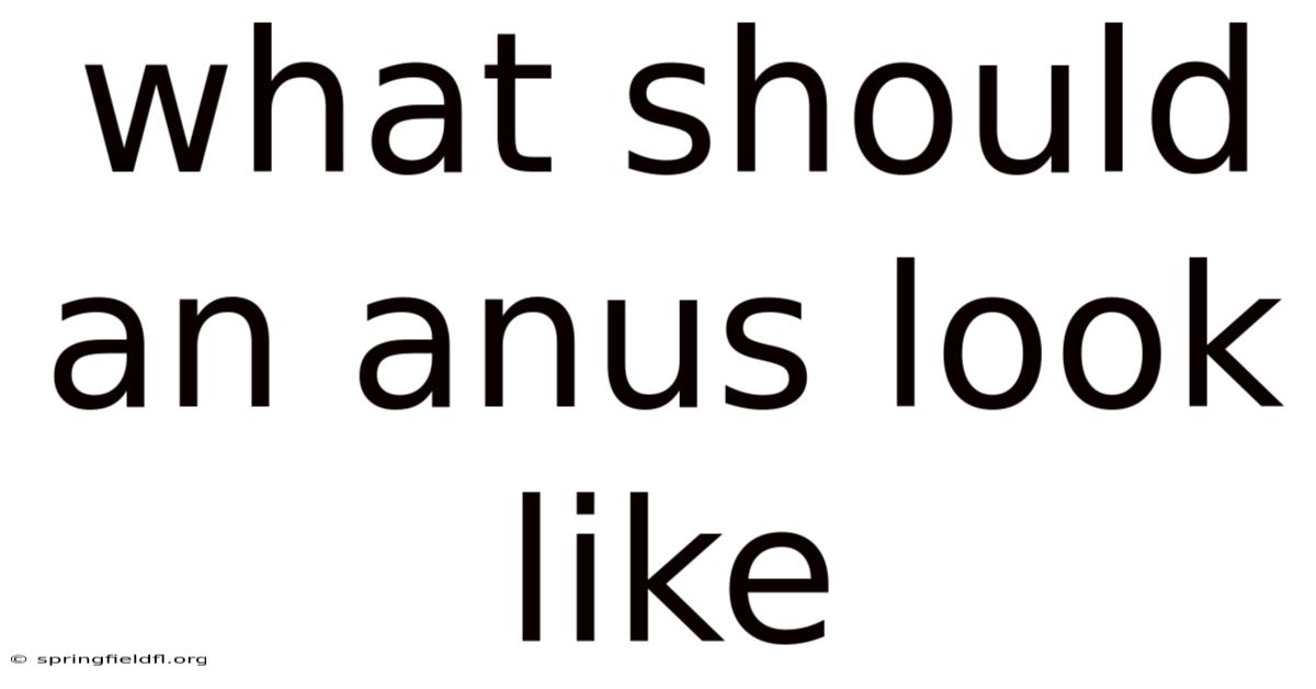 What Should An Anus Look Like