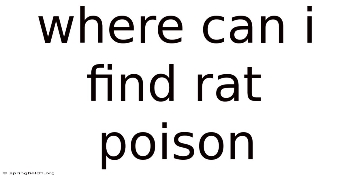Where Can I Find Rat Poison