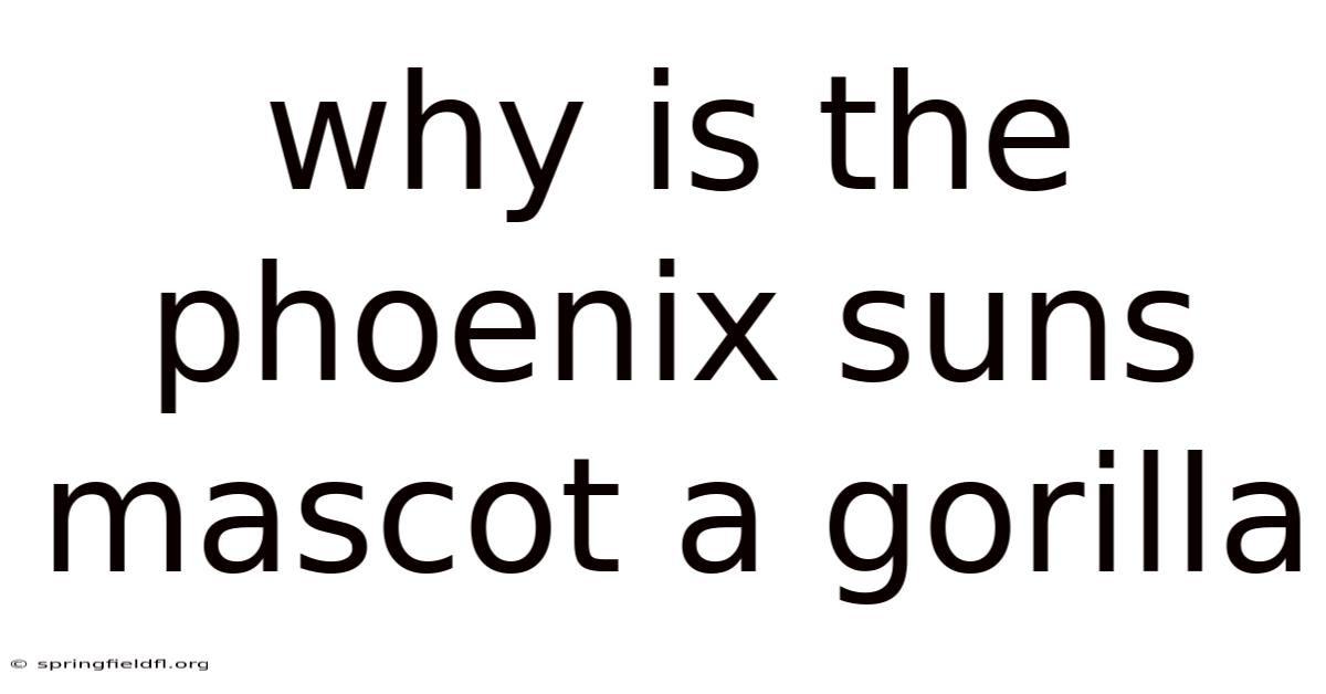 Why Is The Phoenix Suns Mascot A Gorilla