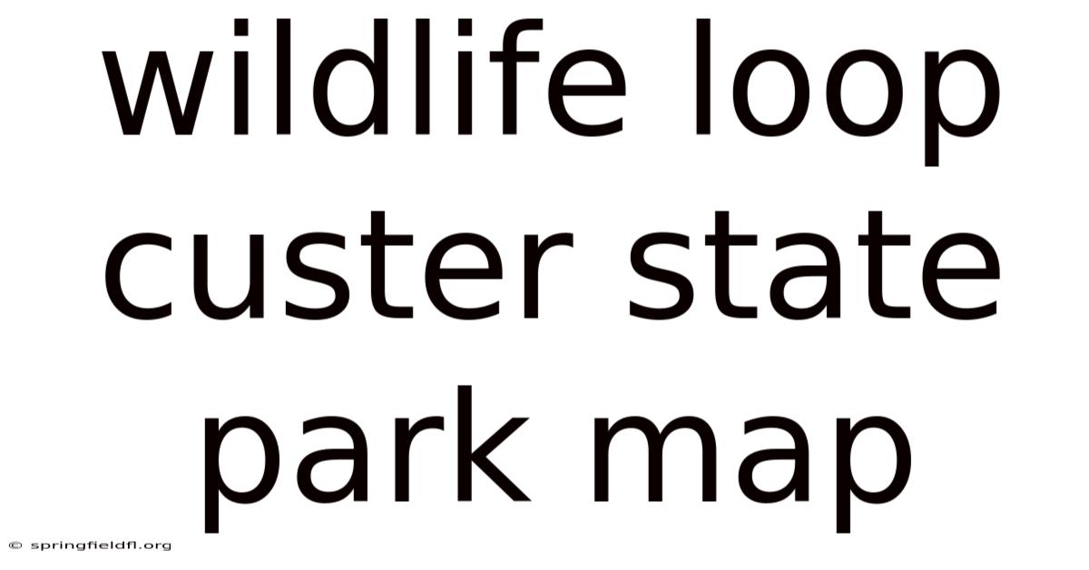 Wildlife Loop Custer State Park Map